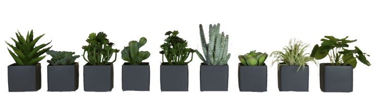 Neun graue Mini Sukkulenten Kunstpflanzen in quadratischen Töpfen, dekoratives Set für Zuhause und Büro.